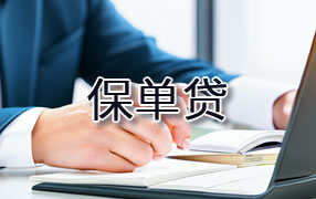 那曲保单贷